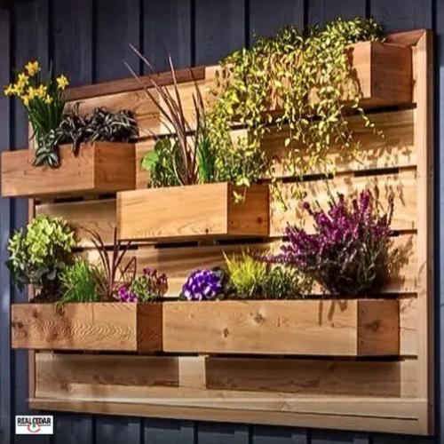 Cedar Living Wall Cedar Living Wall
